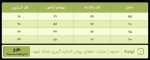 تیشرت آستین کوتاه ساده 30% - تصویر 3