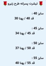 تیشرت پسرانه زنیرو - تصویر 3
