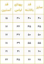 تیشرت امیری حسین 30% - تصویر 3